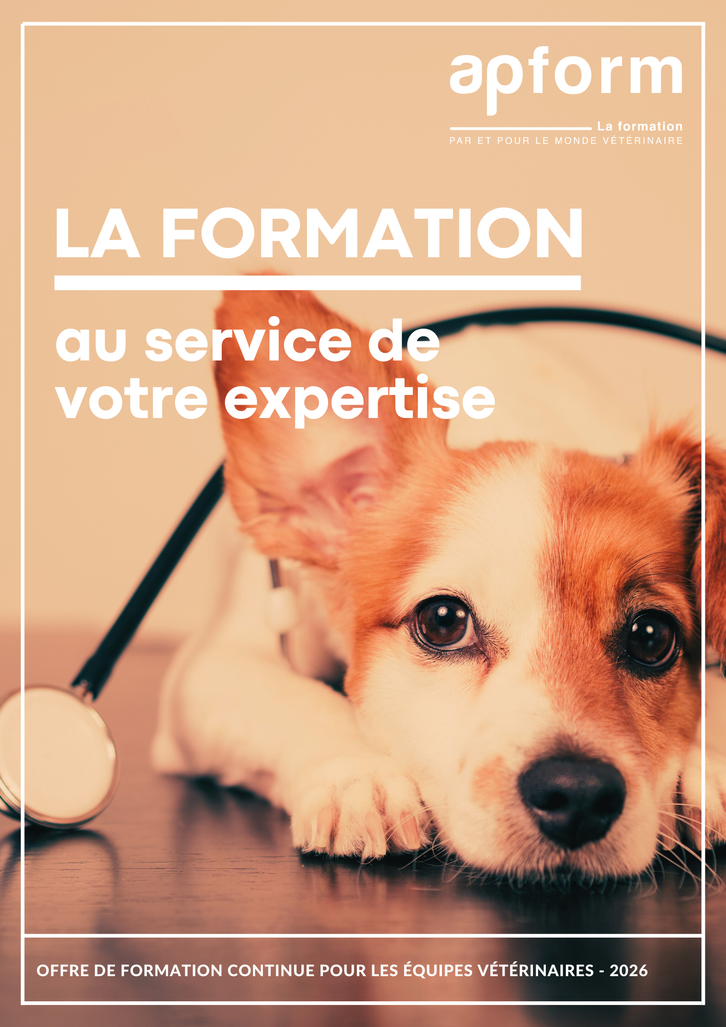 Découvrez notre nouveau catalogue interactif 2026 ! | apform